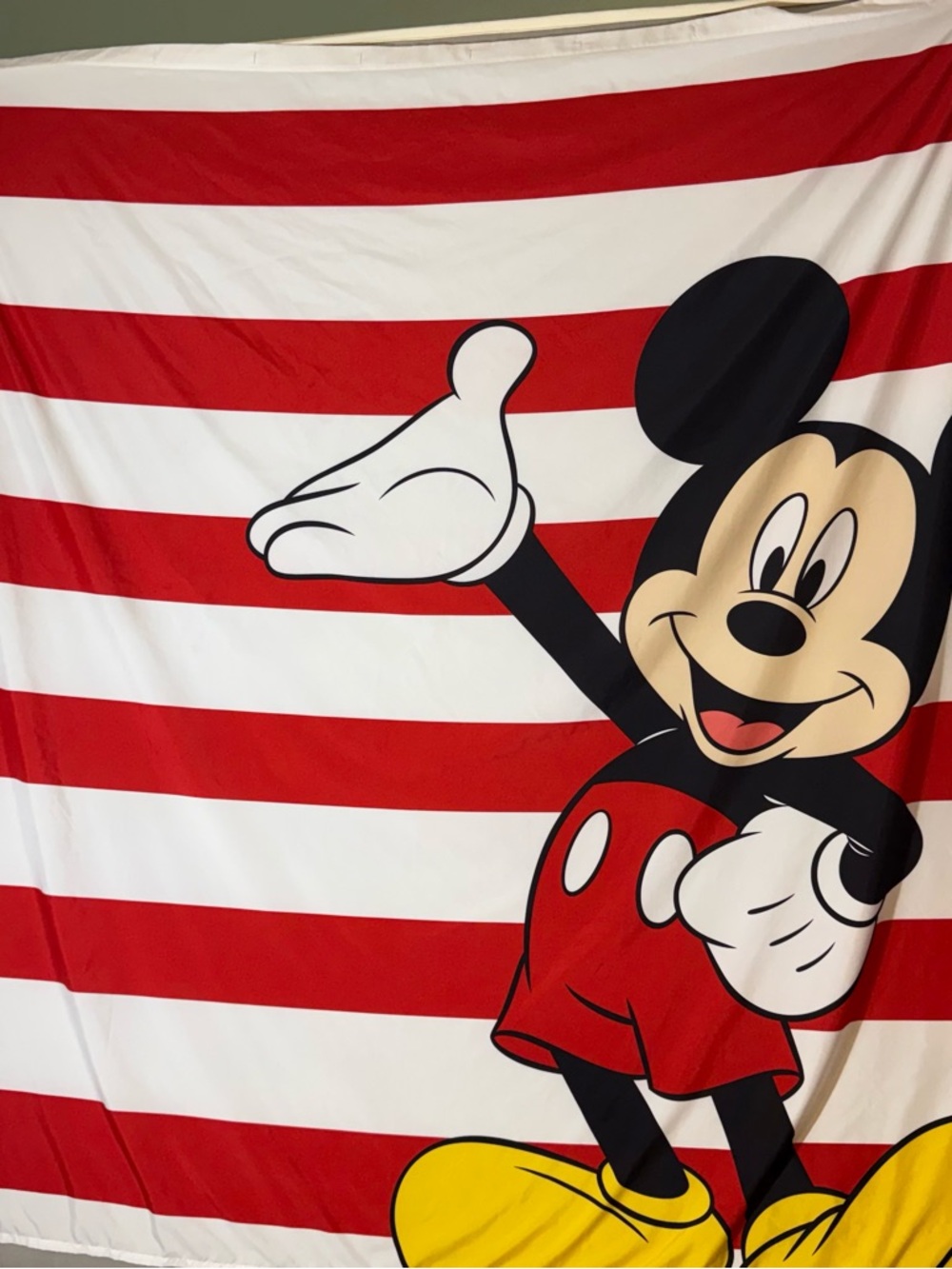 Disney/Mickey Red and White Striped Shower Curtain